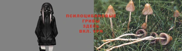 MDMA Осинники