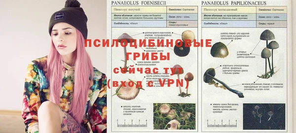 ALPHA-PVP Остров