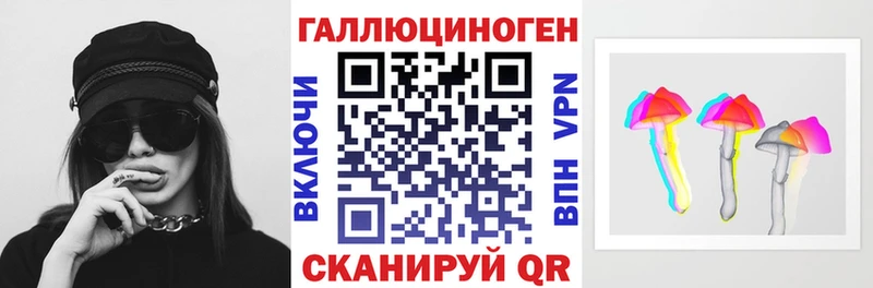купить   Белозерск  Псилоцибиновые грибы GOLDEN TEACHER 